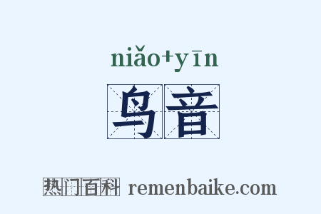 鸟音是什么意思的图片